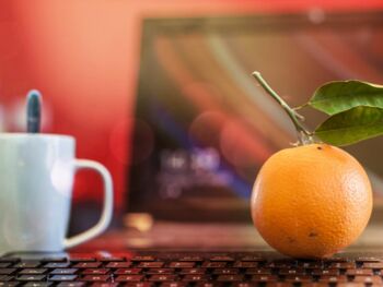 Newsbeitrag - Betriebliches Gesundheitsmanagement