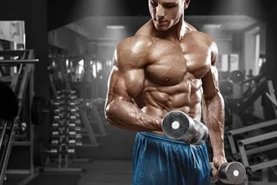 Werde anerkannter Bodybuilding Trainer mit einer flexiblen Online-Ausbildung im Fernstudium!