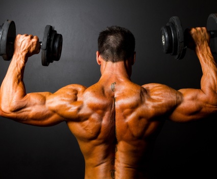 Fernstudium Fachtrainer/in für Bodybuilding und Kraftsport